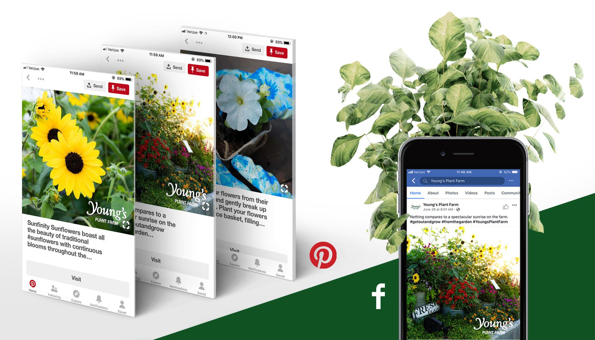 Mockup of Young's Plant Farm Social Media.