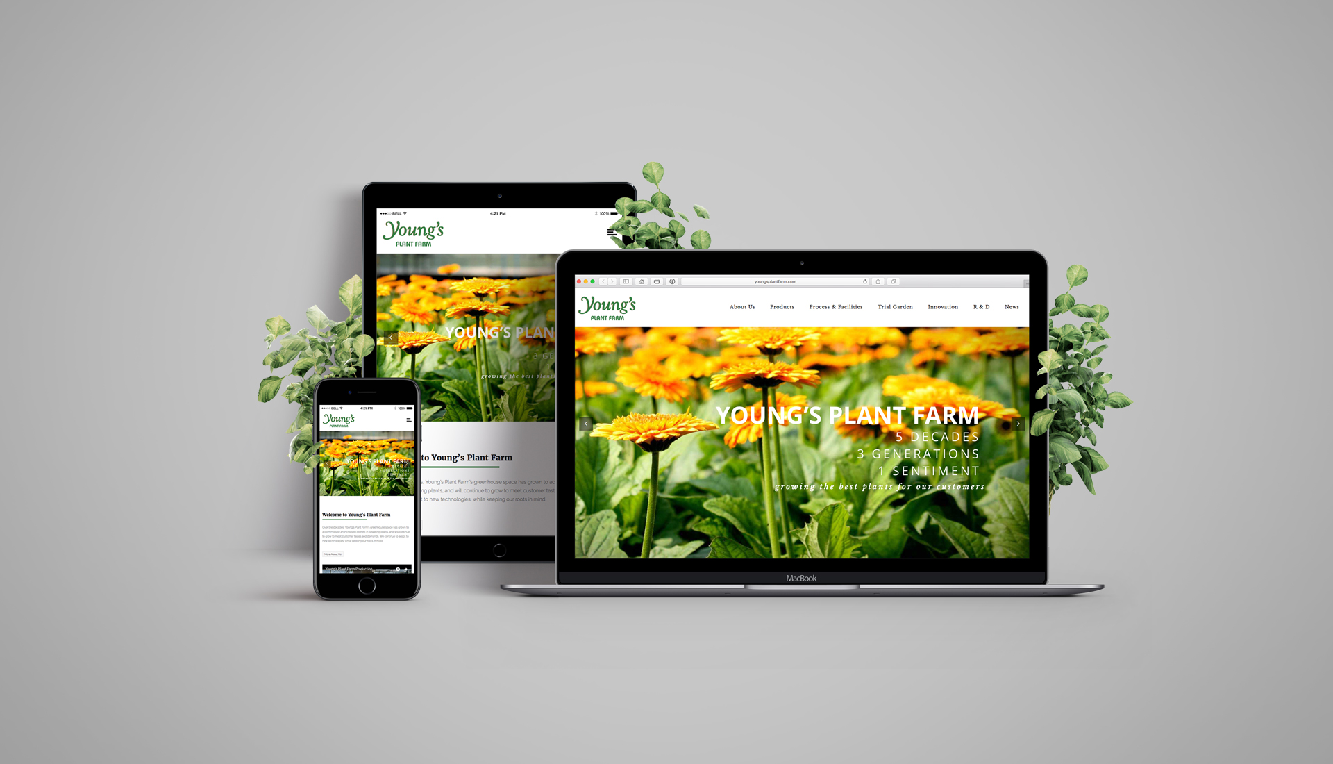 http://youngsplantfarm.com/ Mockup of the Youngs Plant Farm website on laptop, tablet and phone.
