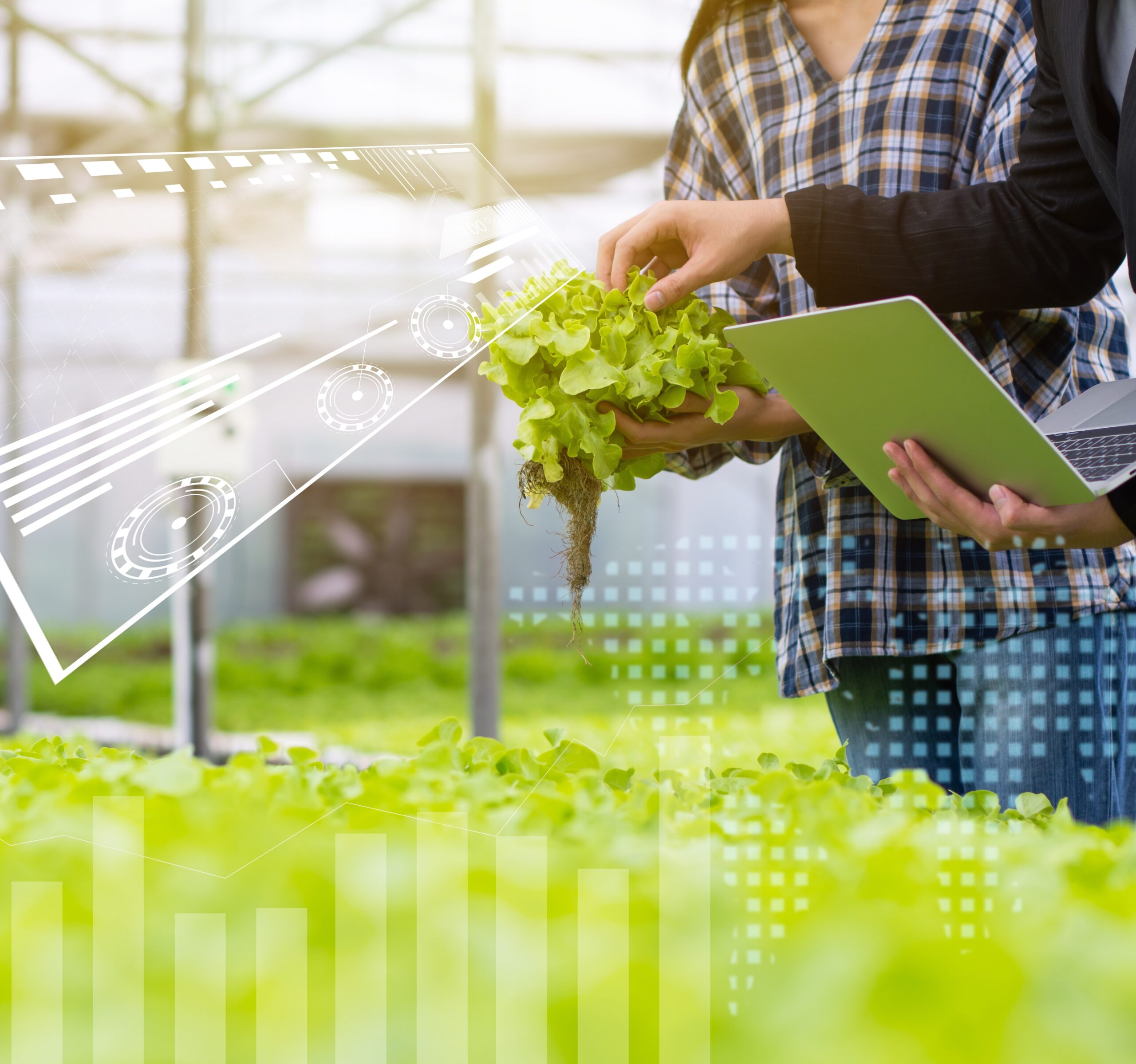 Hydroponic farm with technology, researcher, agricultural expert introduce owner farmer checking good balance of water and oxygen as temperature, lights, pH level, humidity, system of growing plant Hydroponic farm with technology, researcher, agricultural expert introduce owner farmer checking good balance of water and oxygen as temperature, lights, pH level, humidity, system of growing plant.